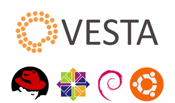 Vesta Kontrol Panel Kurulumu ve Kullanımı