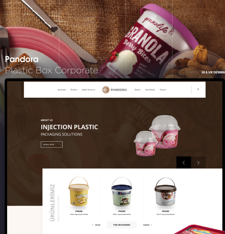 Pandora Plastik Kutu Kurumsal Web Tasarım